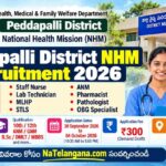 Peddapalli District NHM Recruitment 2026